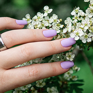 Daisy Nail & Spa gallery